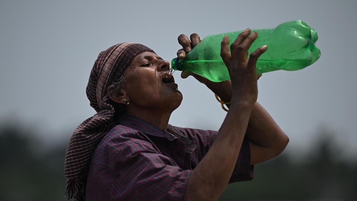 Heat Stress Reduces Productivity of India”s Migrant Workers by 10% Over 40 Years