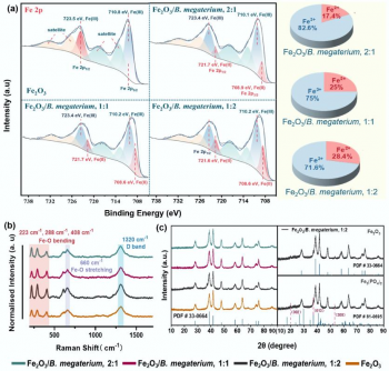 Innovative Biofilms Use Solar Energy for Environmental Cleanup