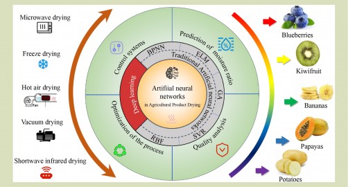 Neural Networks Innovate Agricultural Product Drying Techniques
