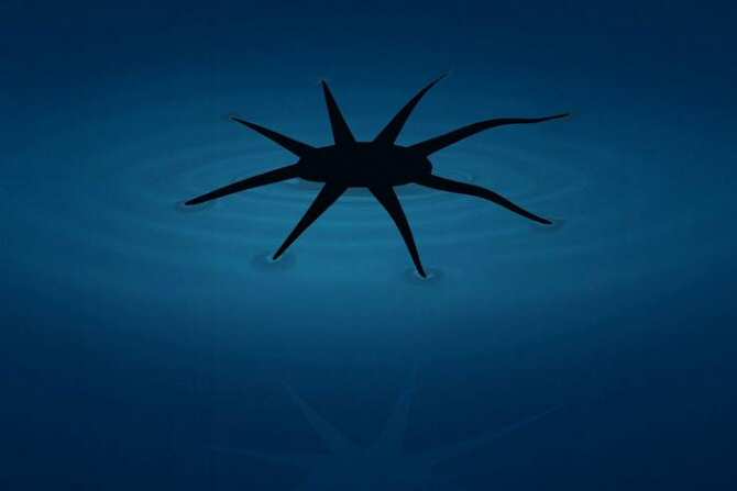 New Insect-Inspired Robot Designed to Walk on Water