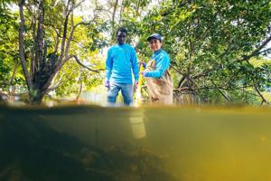 Researchers Discover PFAS Contamination in Miccosukee Reservation