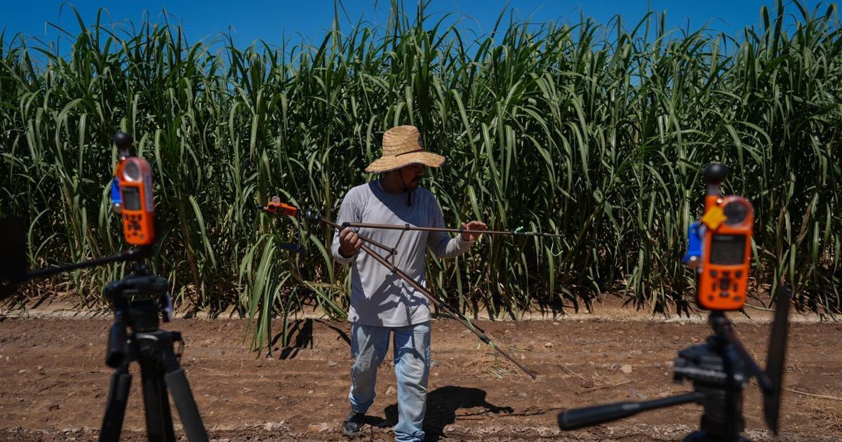Researchers Map Heat in California to Safeguard Farmworkers