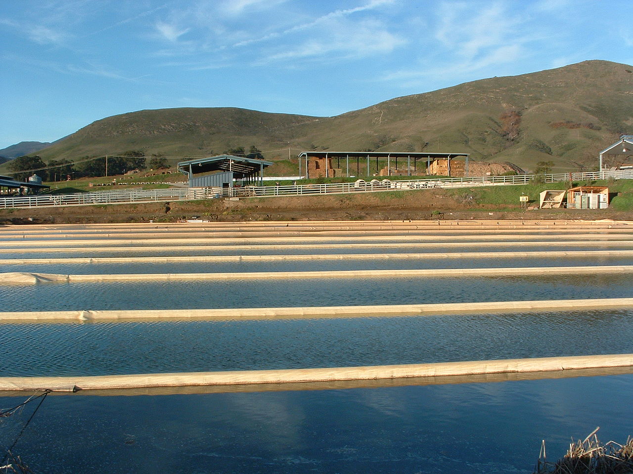 U.S. Wastewater Treatment Plants Emit Significant Greenhouse Gases Annually