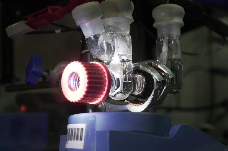 Cambridge Researchers Develop Innovative Solar-Powered Artificial Leaf