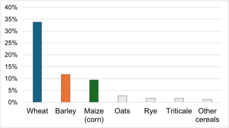 Cookbook Promotes Underused Crops for Sustainable Eating
