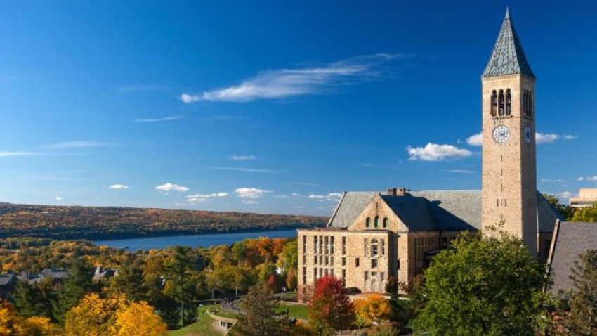 Cornell Survey Shows Rise in Campus Sexual Assault Reports Among Students