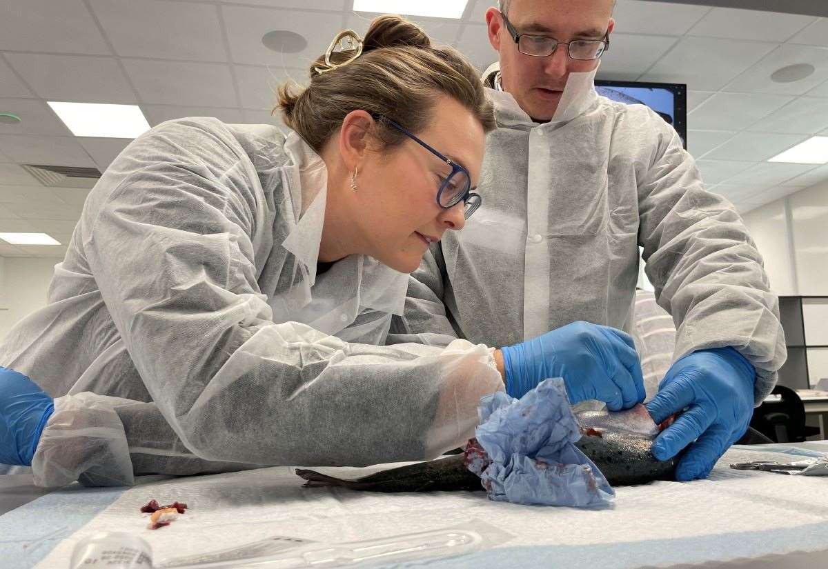 Inverness Veterinary Centre Opens Doors for Public Engagement on Animal Health