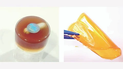 Nagaland University Develops Eco-Friendly Gelatin-Based Electrolyte for Supercapacitors