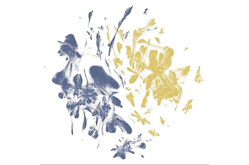 New AI Model Sheds Light on Tissue Organization and Cell Interactions