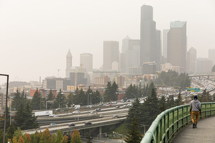 Study Reveals Wildfire Smoke Increases Preterm Birth Risk in Pregnant Individuals